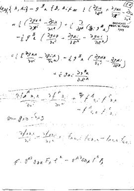 Calculations on the Pais Theory